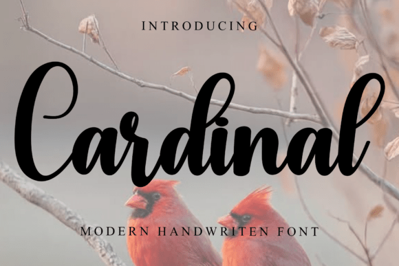 Cardinal: A Festive Typeface for Holiday Designs