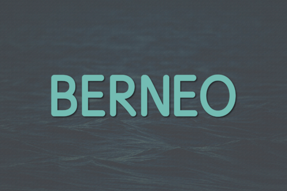 Understanding Berneo: A Modern Sans Serif for Clear Communication